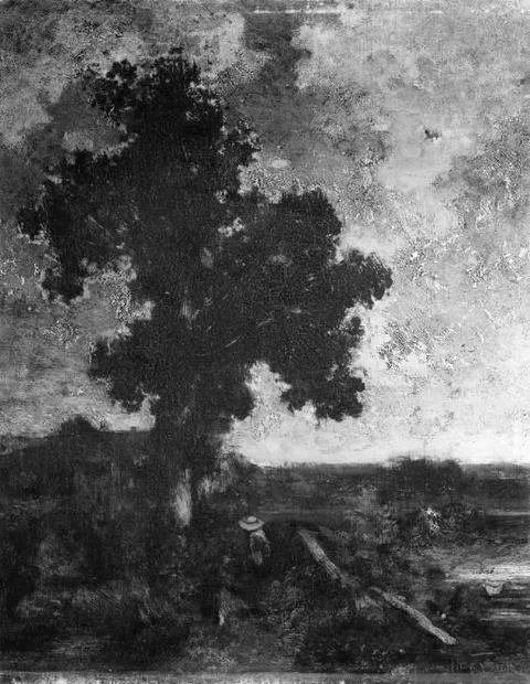 Adolphe Hervier, Big Tree