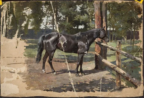 Jean Lulves, Black horse