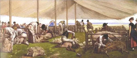 Eyre Crowe, A sheep shearing match