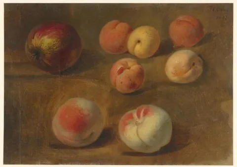 Albertus Steenbergen, Stilleven met appel, perziken en abrikozen