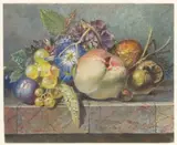 Albertus Steenbergen, Vruchten- en bloemstilleven