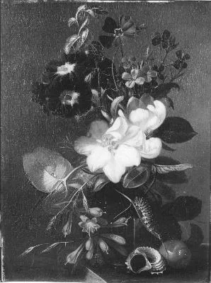 Albertus Steenbergen, Untitled