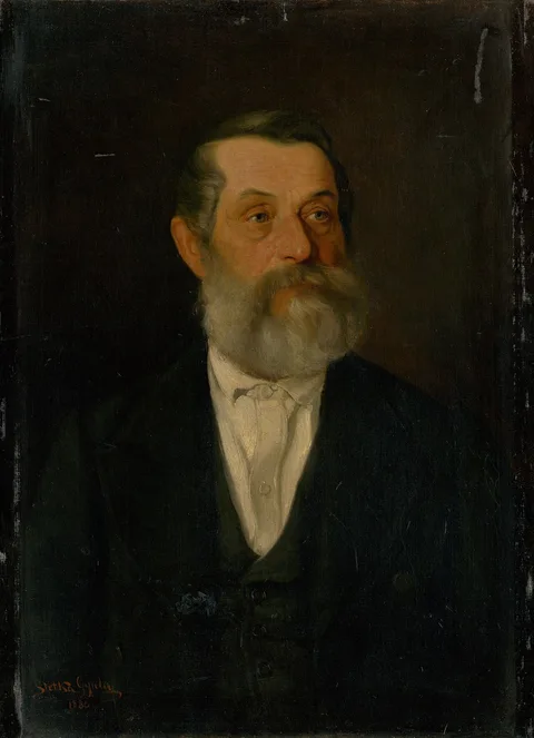 Gyula Stetka, Portrait of an Old Gentleman with Grey Beard