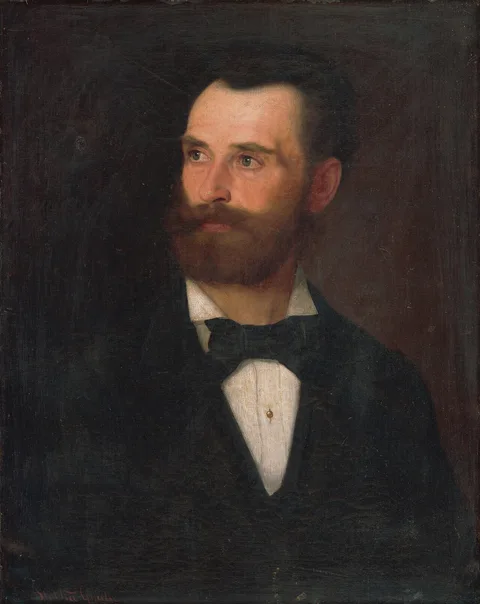 Gyula Stetka, Portrait of a Man with Brown Beard