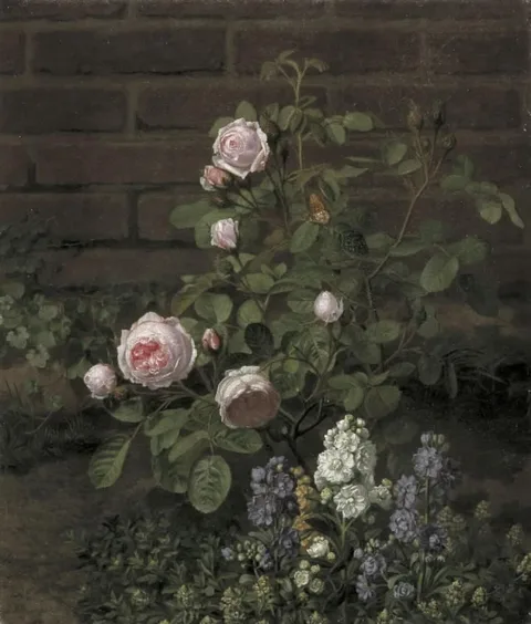 O.D. Ottesen, Et mosrosetræ omgivet af sommerblomster