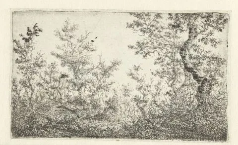 Claes van Beresteyn, Open plek in het bos