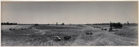 Melvin Vaniman, Wheat harvest, Narramine Station, 1903, by Melvin Vaniman