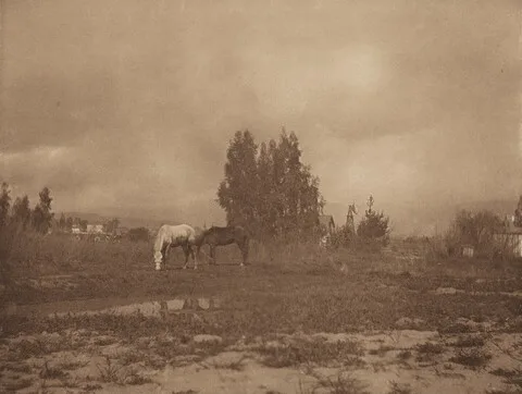 William B. Post, Pasadena Landscape
