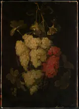 Frans van Everbroeck, Garland of grapes