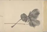 Hōen, Scenes of Figures, Flora, Insects, Birds, and Landscape