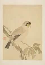 Ma Yuanyu, Untitled