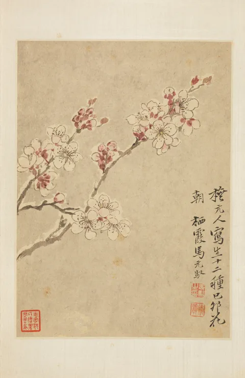 Ma Yuanyu, Untitled