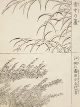 Tachibana Morikuni, Reeds in Snow