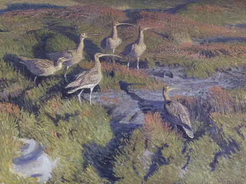 Vilhelm Theodor Fischer, Regnspover klar til at lette