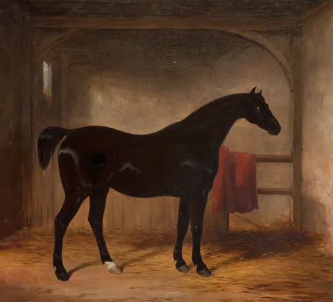 Henry Barraud, Black Horse in a Loose Box