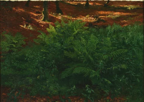 Johan Ulrik Bredsdorff, Forest floor in the sun