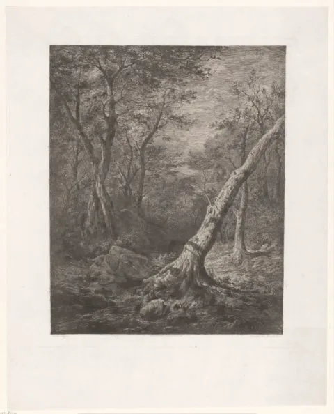 Edouard De Vigne, Boslandschap