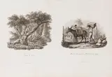 Carl Heinrich Rahl, Chasse de l´Onze