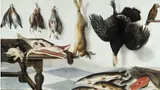 Cornelis Biltius, Game larder with a hare, partridge, snipe, a turkey, a side of meat, capons, starlings, pike, eel and fish with a parrot