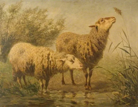 Edward Woutermaertens, Study of Sheep
