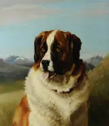 William Henry Hamilton Trood, St Bernard Dog