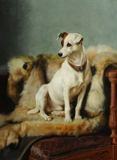 William Henry Hamilton Trood, 'Coup'