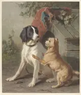 Conradijn Cunaeus, Twee honden bij een hok