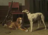 Conradijn Cunaeus, Hunting Companions