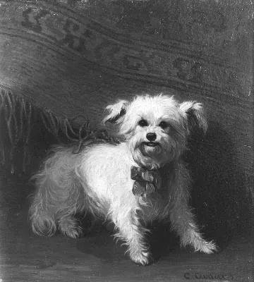 Conradijn Cunaeus, Untitled