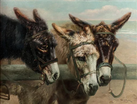 Piet van Engelen, Donkeys at the fence