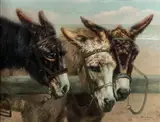 Piet van Engelen, Donkeys at the fence