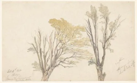 Aaron Edwin Penley, Twee boomstudies