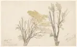 Aaron Edwin Penley, Twee boomstudies