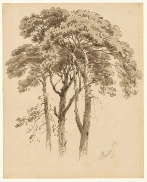 Aaron Edwin Penley, Studie van drie dennen