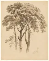 Aaron Edwin Penley, Studie van drie dennen