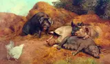 Herbert William Weekes, Pigs Disturbed by a Hen