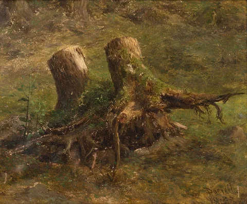 Ernst Gustav Doerell, A Study of Tree Stumps