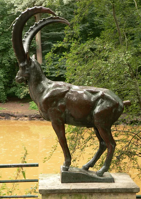 Ernst Gorsemann, Ibex