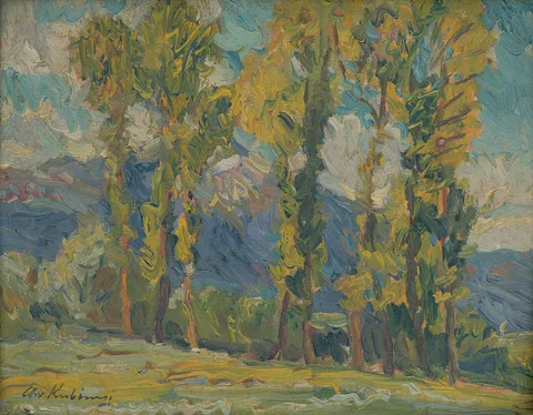 Alexander Kubínyi, Untitled