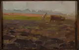 Władysław Ostrowski, Ploughing oxen