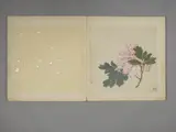 Wang Yun, Untitled
