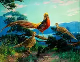John Henry Hintermeister, Golden Pheasants