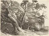 Richard Cooper, Landscape with Large Trees