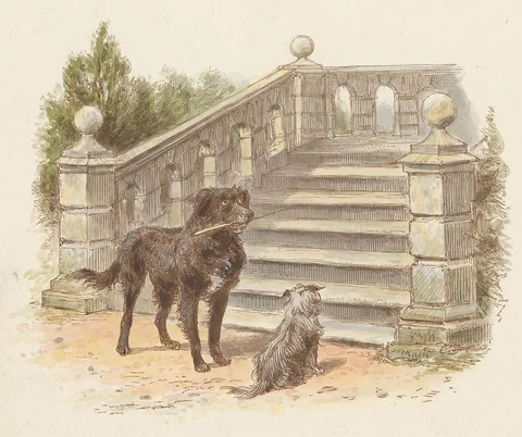 Alfred W. Cooper, The Young Squire (tail piece)