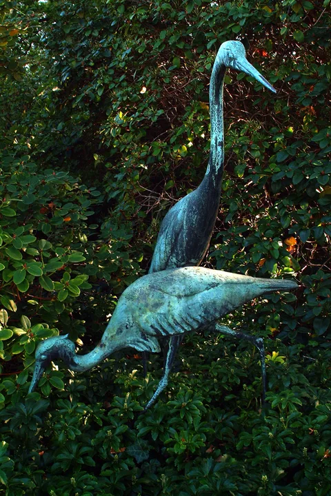 Ruth Meisner, Grey heron