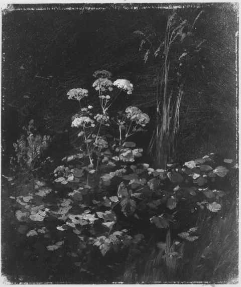 Carl Bolze, Untitled