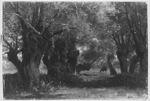 Carl Bolze, Untitled