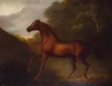 Charles Henry Schwanfelder, Portrait of a chestnut horse