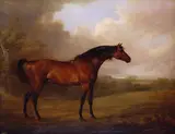 Charles Henry Schwanfelder, Portrait of a Bay Horse