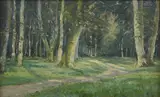 Johannes Boesen, Evening sun in the woods.